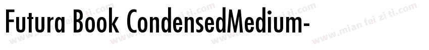 Futura Book CondensedMedium字体转换